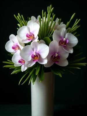 Exotischer Orchideenstrauß mit grünen Akzenten